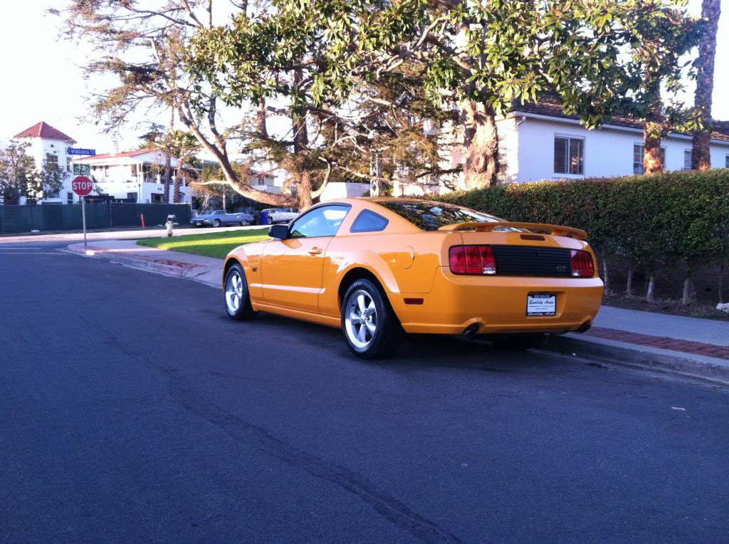 Name:  IMG_2796.jpg
Views: 66
Size:  148.4 KB