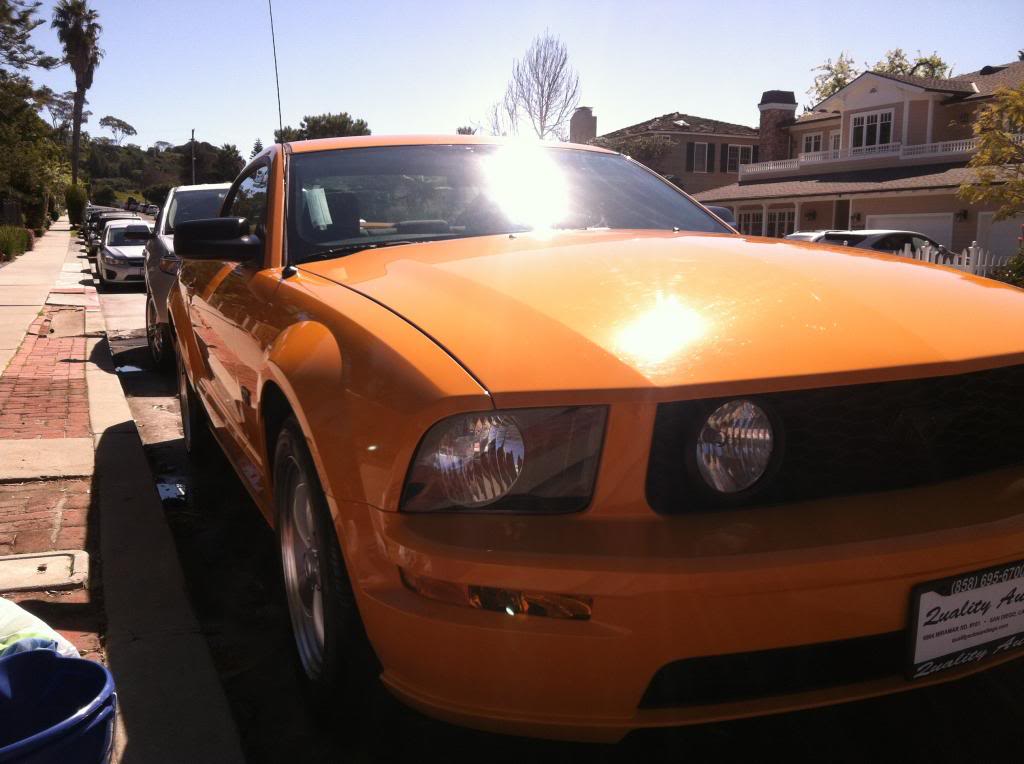 Name:  IMG_2768.jpg
Views: 70
Size:  81.3 KB