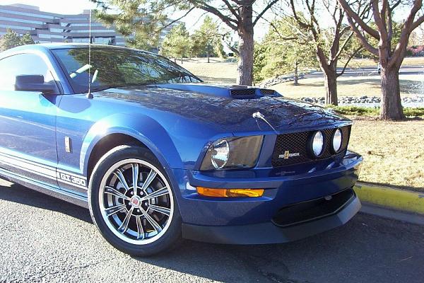 Rocky Mountain Mustang Roundup - Who's going?-close-up-frnt-side-shot.jpg