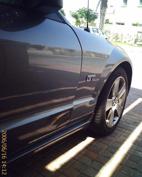 My pony is hurt.. Two incidents in one week!!-back.jpg