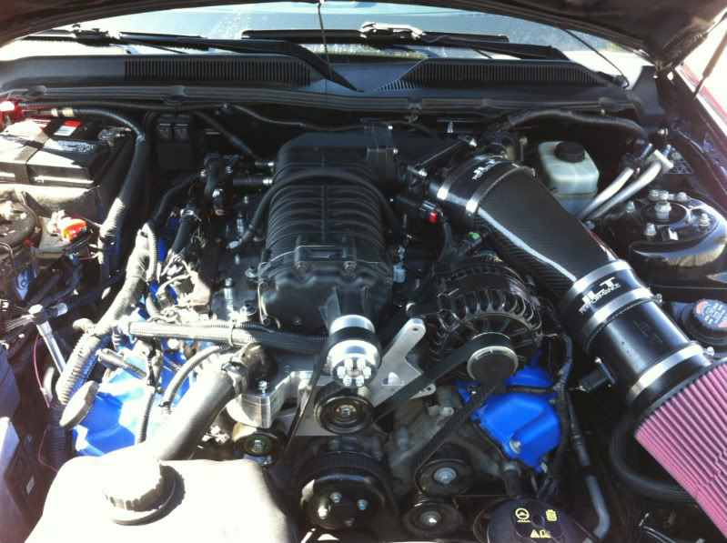 Name:  IMG_6719.jpg
Views: 1619
Size:  110.2 KB