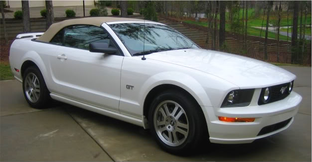 Name:  NewMustang-1.jpg
Views: 336
Size:  39.1 KB