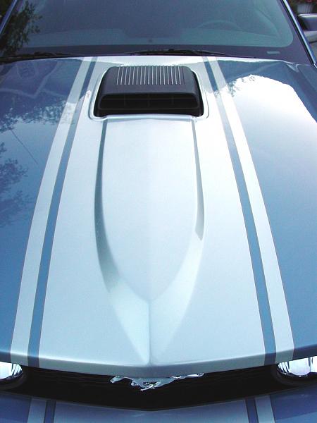 69 and 70 Style S-197s GEN 1 PHOTO GALLERY-fang_windviel_blue_019.jpg