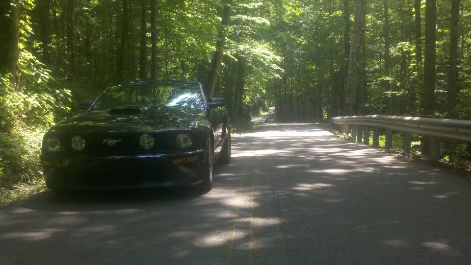 Name:  Mustangonmillcreekrd.jpg
Views: 149
Size:  100.2 KB