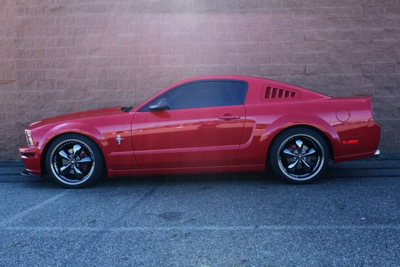 Name:  mustang.jpg
Views: 368
Size:  88.4 KB