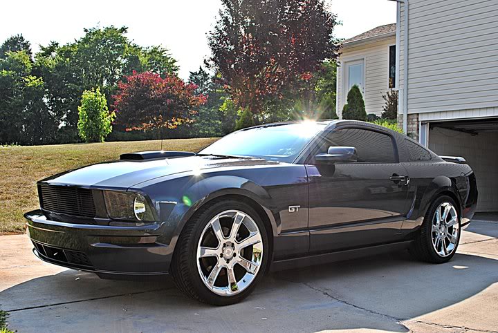 Name:  2007MustangTruShine3.jpg
Views: 1613
Size:  93.5 KB