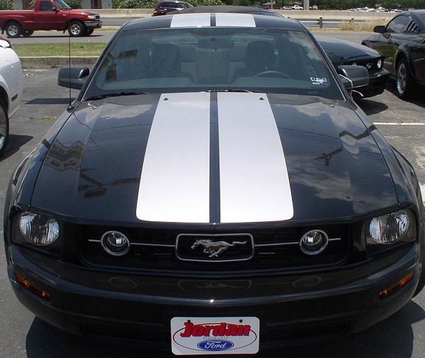 Stampede Edition?-front.jpg
