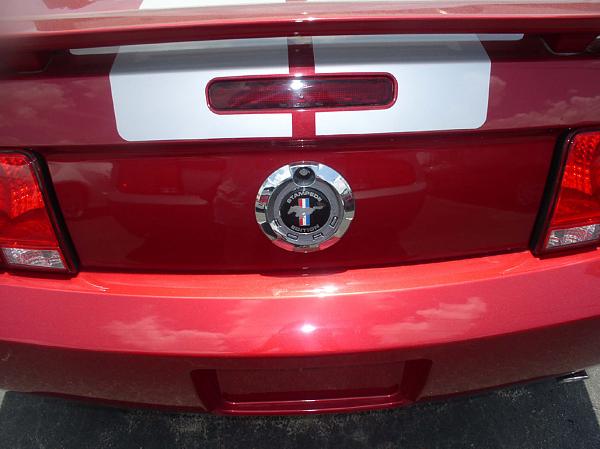 Stampede Edition?-red-one.jpg