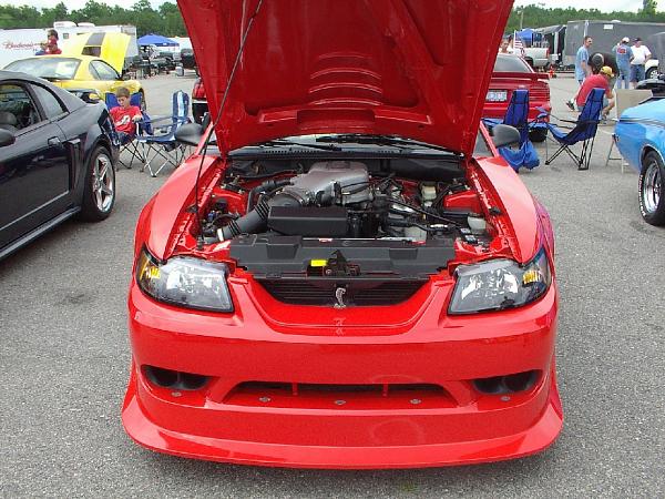 Petersburg Fun Ford Weekend Pictures-ffw-06-cobra-r2.jpg