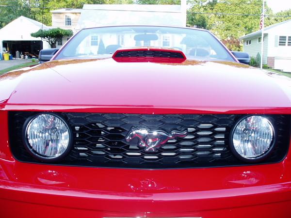 Premier Trim Pic from my '07 Vert!!!!!-p6200284.jpg