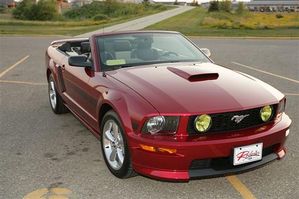 Redfire or Torch Red?  Pros and cons??? S-197 Mustang*-img_3099.jpg