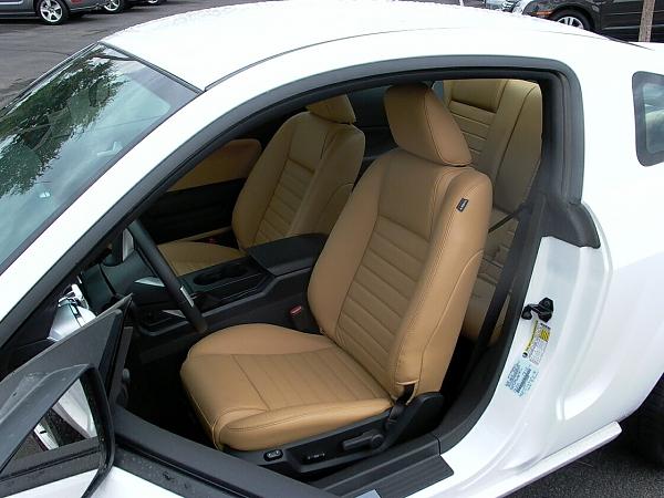 Chamios Interior-chamois1.jpg