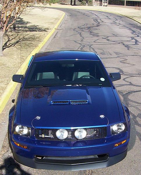 My 2006 Custom Mustang (i.e. Shelby Tribute)-front2.jpg