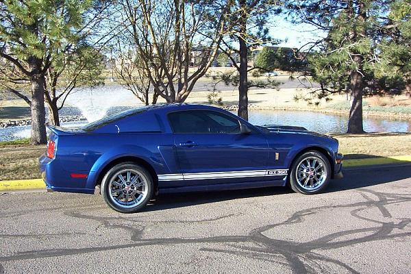 My 2006 Custom Mustang (i.e. Shelby Tribute)-side-shot-2.jpg