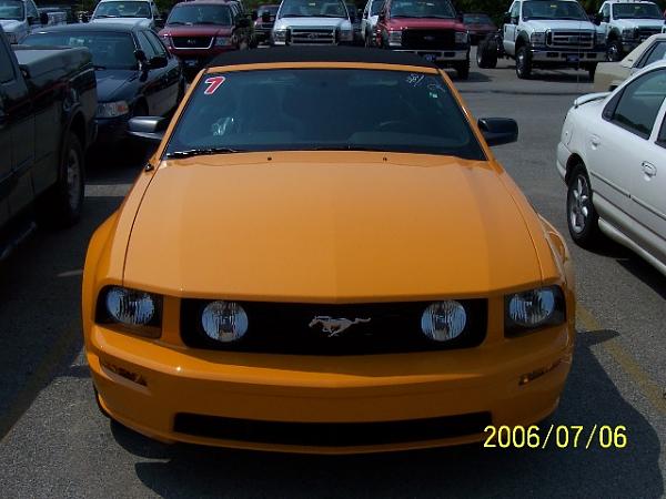 ISellFord's first pics; she's fianlly home-grabber4.jpg