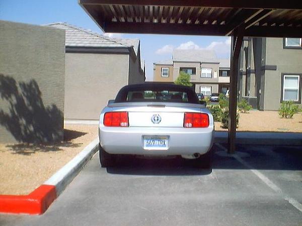 2007 mustangs for rent at avis-dsc00090-1-.jpg