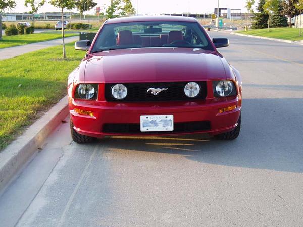 Redfire or Torch Red?  Pros and cons??? S-197 Mustang*-p1010099-copy.jpg