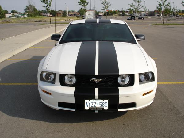 2006 GT Performance White !!!-dsc03162.jpg