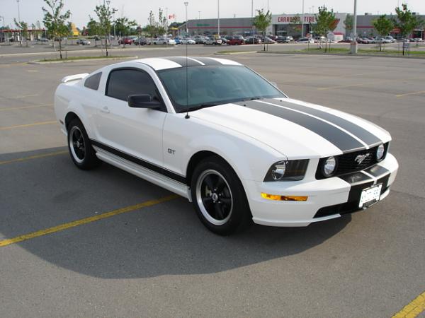 2006 GT Performance White !!!-dsc03163.jpg