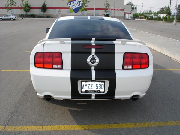 2006 GT Performance White !!!-dsc03165.jpg