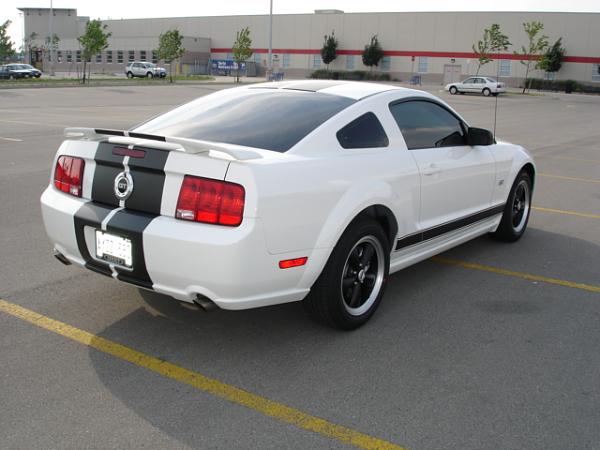 2006 GT Performance White !!!-dsc03166.jpg