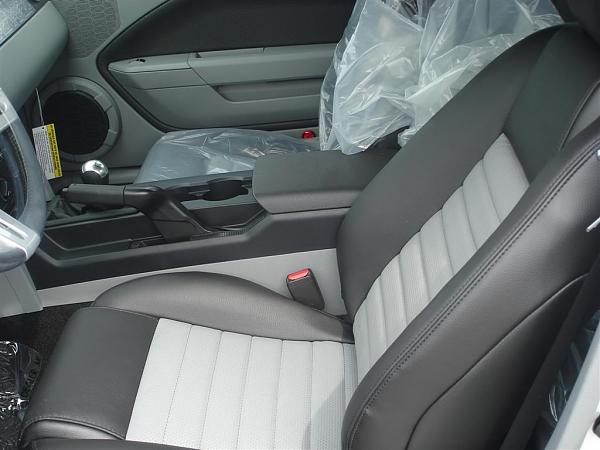 Light graphite interior pics???-blackdove.jpg