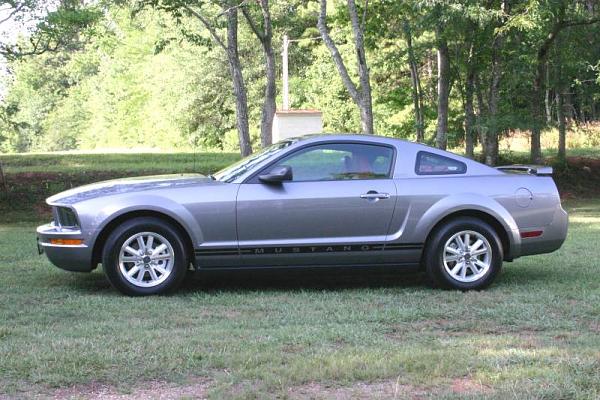 Welcome Mustang #5-webside.jpg