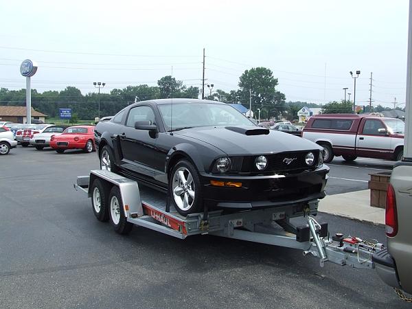 Tired of letting the Dealers Dictate to me-black-mustang3-001.jpg