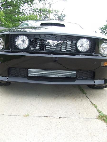 Tired of letting the Dealers Dictate to me-black-mustang3-006.jpg