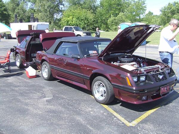 Mustang Show last Saturday-mustang-showcamping-023.jpg