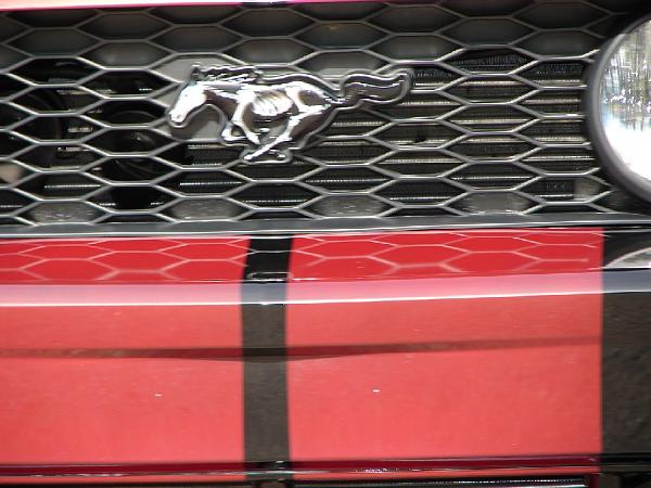 Does anyone buy those airbrushed grill ponies - post pics please!-aaa-2.jpg