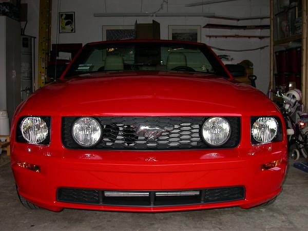 Got it!-dscn5770.jpg