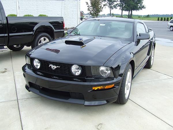 Tired of letting the Dealers Dictate to me-black-mustang-002.jpg