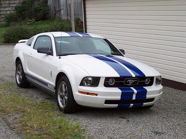 performance white-beginning-stages.jpg