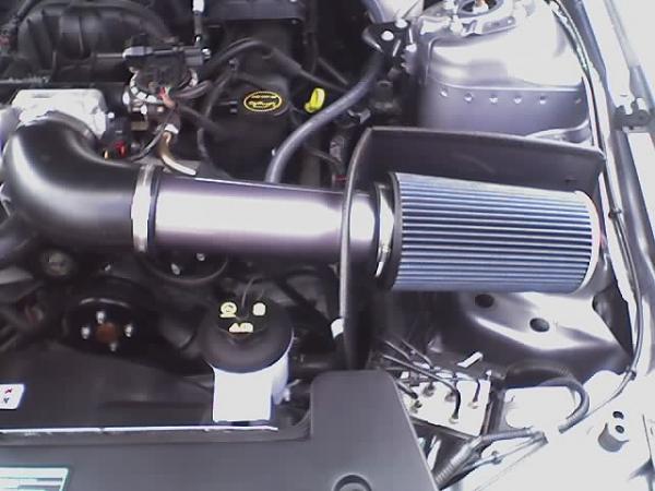 Has anyone done this....-mustang-cai.jpg