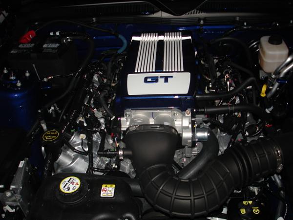 Plenum Covers-dsc00711.jpg