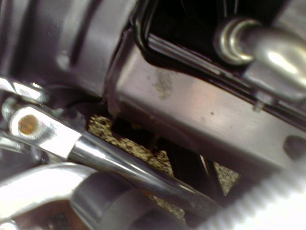 Dealer keeps botching job...-083006_1453.jpg