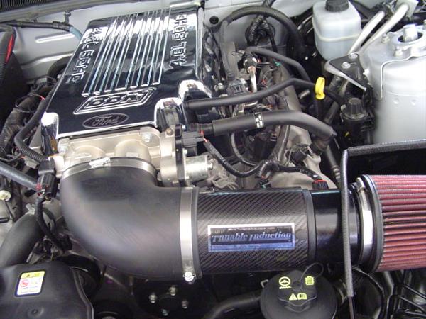 Plenum Covers-mustang.jpg