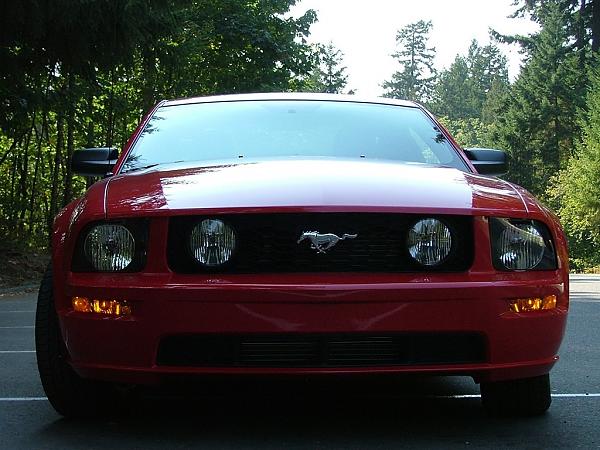 Tomorrow's the day!!!-dscf1331.jpg