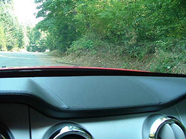 Tomorrow's the day!!!-dscf1342.jpg