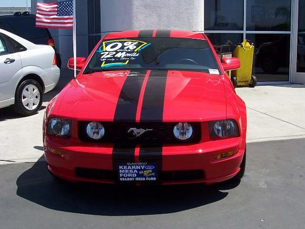 DG Custom Auto Mustang Exterior Parts!-mc67306-d3_-1-.jpg