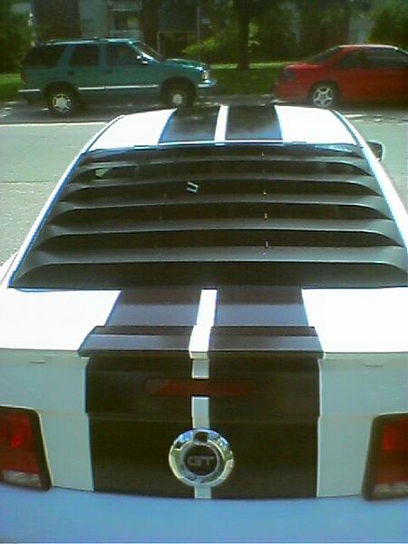 2006 Mustang GT Performance White w/Black Stripes-rear.jpg