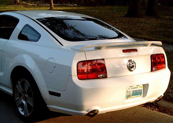 DG Custom Auto Mustang Exterior Parts!-utrearside.jpg