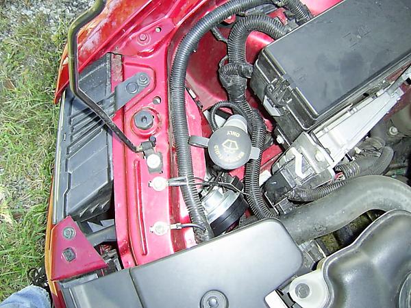 2005-2009 Mustang Horn Alternate Placement*-horn-move-5-.jpg