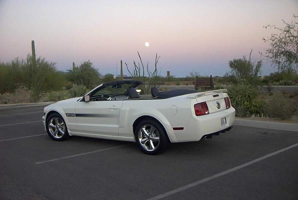 Help Please- need pix of Perf. White &amp; 18's--l_qtr.jpg