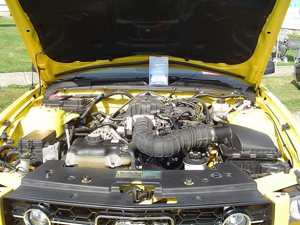 Engine cover getting worn-tms14.jpg