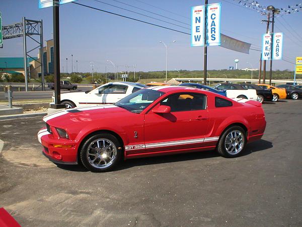 Gt 350 sighting-gt350-5.jpg