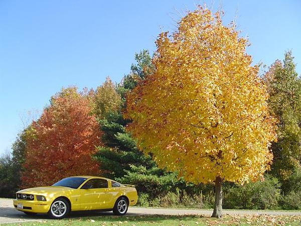 A beautiful fall day...-dsc01767.jpg