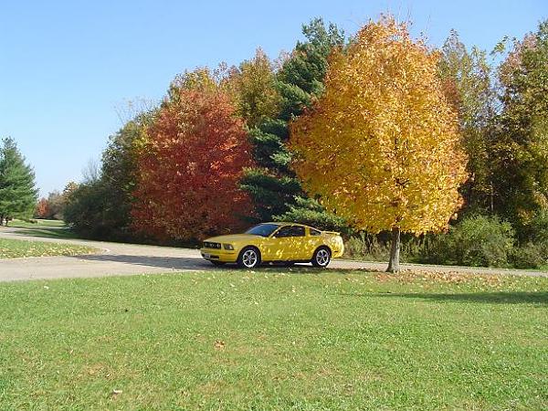 A beautiful fall day...-dsc01775.jpg