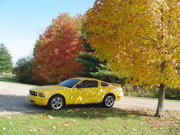 A beautiful fall day...-dsc01776.jpg